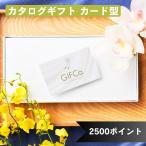 カタログギフト カードタイプ ( 2500 ポイント ） ギフトカード 商品券 ギフトカタログ 景品 内祝 御祝 誕生日 話題 ラッピング のし 包装 お返し 香典返し WH