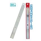 セット売り　12個セット　スチール定規30cm（ケース付）　ものさし　seiwa29-214AK