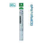 セット売り　12個セット　カッティングに便利！ステンレスガード付方眼定規30cm　ものさし　seiwa32-064AK