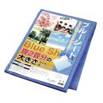 セット売り　10個セット　ブルーシート　echo1299-537