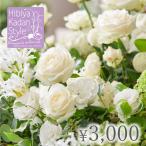 [ день соотношение . цветок .][..] цветок подарок билет (3,000 иен )