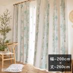 2級遮光カーテン ムーミン PUUT drape プート ドレープ ライトブルーグリーン 幅〜200cm×丈〜260cm