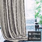 3級遮光カーテン スミノエ デザインライフ SHIRAKABA シラカバ 幅〜200cm×丈〜260cm