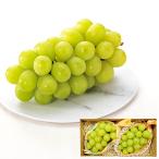  ваш заказ Nagano префектура производство автомобиль in мускат 2.( отгрузка день :12/03-12/27 примерно ) бесплатная доставка ( Hokkaido * Okinawa за исключением )[_ s25wg _