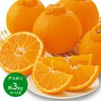 ショッピングデコポン 2026年2月上旬-下旬お届け フルーツ 熊本県産 デコポン 約3kg (10〜12玉) 果物 柑橘 みかん ミカン でこぽん 青果 箱 ギフト 高級 送料無料 CG046