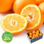 2026 год 2 месяц сверху .- средний . доставка фрукты Ehime префектура производство . внутри ...L размер 20 шар .( примерно 5kg ) <JA... центр >.... синий . фрукты подарок бесплатная доставка EH003