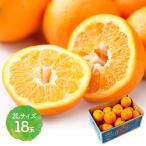 2026 год 2 месяц сверху .- средний . доставка фрукты Ehime префектура производство . внутри ...2L размер 18 шар .( примерно 5kg) <JA... центр >.... синий . фрукты внутри праздник . подарок бесплатная доставка EH004