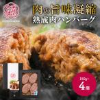 ショッピングハンバーグ お歳暮 2025 東神田本舗 発酵 熟成肉 とこだわり素材のみで作った 肉の旨さを感じる ハンバーグ 4個 セット 国産 ジューシー 肉汁 送料無料 IF97408-600 御歳暮