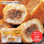 お歳暮 2025 吉田ハム 飛騨牛入り コ