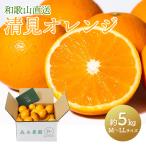 2026 год 2 месяц средний .~5/15 доставка фрукты Wakayama прямая поставка лес книга@ сельское хозяйство .. Kiyoshi видеть orange примерно 5kg M ~ LL фрукты .. orange ...... orange мандарин бесплатная доставка KZ003