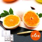  подарок по случаю конца года 2025 конфеты мандарин большой удача .... подарок комплект мандарин большой удача 6 шт японские сладости фрукты большой удача меласса .mi can ваш заказ подарок бесплатная доставка NENP001. лет .