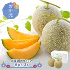  подарок на Bon Festival 2026/6/25-9/10 доставка фрукты Hokkaido красный мясо дыня очень большой шар 2 шар дыня подарок бесплатная доставка . средний изначальный SN0000-020106