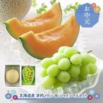 2025/7/20-8/10お届け フルーツ 北海道産 赤肉メロン ＆ シャインマスカット SN6003-010075 果物 北海道 メロン 種なし マスカット 送料無料