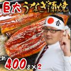 お中元 2025 巨大 うなぎ蒲焼 約400g 2尾 海鮮 鰻 うなぎ ウナギ 蒲焼 蒲焼き かば焼き ひつまぶし うな重 土用の丑の日 土用丑の日 土用 送料無料 ST005 御中元