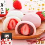 父の日 2025 プレゼント 内祝い お菓子 ギフト 京都養老軒 博多あまおう いちご大福 5個入 お返し 3000円 スイーツ 遅れてごめんね 母の日 送料無料 冷凍便 YB