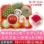  День матери подарок День матери сообщение Apple ввод фрукты комплект (M) гвоздика имеется фрукты подарок фрукты набор 