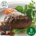 平田牧場 三元豚調理済ハンバーグギフト CNS19-3 ギフト 平田牧場 豚肉 三元豚 ハンバーグ 冷凍 山形 産地直送 ご挨拶 内祝い 結婚内祝い