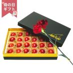 【母の日専用】山形県産ハウス佐藤錦 秀L 144g(チョコ箱) ＆カーネーション (承り期間：4月27日まで) フルーツ 果物 さくらんぼ 山形県 秀品 2026 義母 産地直送