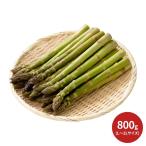 函館つるの生産組合 函館産サマーアスパラ L〜2Lサイズ (7月下旬より順次出荷予定) (承り期間：7月25日まで)  産地直送品 送料無料 2026 お中元 夏ギフト