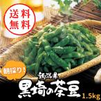 【申込期間は7月28日まで】【お中元2025】 朝採り 黒埼茶豆1.5kg 【送料無料/メーカー直送/代引き・同梱・着日指定不可】