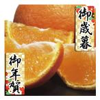 お歳暮 お年賀 御歳暮 御年賀 ギフト 送料無料 みかん 柑橘類 ダイワ果園 愛媛県産 紅まどんな