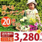 花苗 選べるガーデニング  季節の花苗20株セット 春の花苗 送料無料