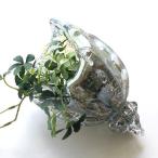 置物 置き物 オブジェ ガラス シェル 貝殻 海 マリン 雑貨 オーナメント おしゃれ インテリア ガラスのオブジェ シェルブルー