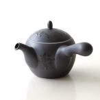 急須 きゅうす 有田焼 おしゃれ 陶器 日本製 茶こし付き 食洗機対応 青銅急須