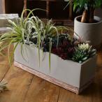 鉢 プランター セメント 長方形 横長 おしゃれ かわいい 植木鉢 鉢植え 底穴あり 33cm バイカラーセメントプランター レクトロング
