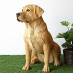 ショッピング置物 犬 置物 屋外 玄関 リアル 大型 大きい オブジェ イヌ いぬ 置き物 インテリア 樹脂 ガーデン 庭 オーナメント ラブラドールレトリバー