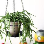 ショッピングプランター プランターハンガー 吊り下げ ハンギング ホルダー アイアン 鉢カバー フラワーハンガー 観葉植物 受け皿 黒 チェーンプレートハンギング