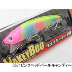 ロンジン　ウェイキーブー170