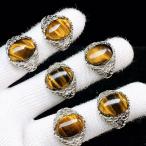 PROME �V�R�� ���ʎd�l�i�E����i�E�ē��וs�E�^�C�K�[�A�C�E�����w�ցE�t���[�T�C�Y�EP10103