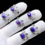PROME �V�R�� ���ʎd�l�i�E����i�E�ē��וs�E�`�����A�C�g�E�����w�ցE�t���[�T�C�Y �EP10621