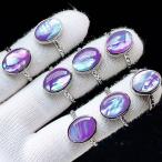 PROME �V�R�� ���ʎd�l�i�E����i�E�ē��וs�E�A�o�����V�F���E�����w�ցE�t���[�T�C�Y �EP10624