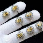 PROME �V�R�� ���ʎd�l�i�E����i�E�ē��וs�E�V�g�����E�����w�ցE�t���[�T�C�Y�EP10691