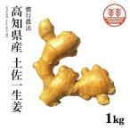  сырой .1kg Kochi префектура производство земля . один номер произвище to носорог chi. line культивирование местного производства бесплатная доставка сырой . имбирь имбирь корень сырой . закуска цукудани приправа ..... сырой . сырой . жарение Tang ..