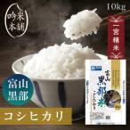 ショッピング米 10kg コシヒカリ 米 10kg 白米 送料無料 富山県黒部産 令和5年 一宮精米