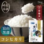 コシヒカリ 米 5kg 白米 送料無料 富山県黒部産 令和6年 特A米 一宮精米 米