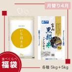 ショッピング米 10kg 【月替り福袋 5月】ブランド米 食べ比べ 10kg 雪若丸 山形県産 コシヒカリ 兵庫県産丹波篠山 各5kg 令和5年 米 お米 【同月内出荷】送料無料