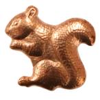  7 сокровищ материалы / гравировка доска B- белка ( маленький ) длина примерно 20mm * время ограничено 2026 год 2 месяц ~4 месяц 