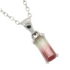 Yahoo! Yahoo!ショッピング(ヤフー ショッピング)バイカラートルマリン ネックレス レディース シルバー 天然石 パワーストーン トルマリン 誕生石 10月 ペンダント プレゼント