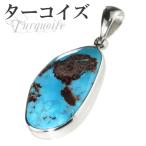 Yahoo! Yahoo!ショッピング(ヤフー ショッピング)ターコイズ ペンダントトップ シルバー アリゾナ産 スリーピングビューティー 天然石 パワーストーン 天然ターコイズペンダント プレゼント