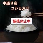 令和5年産 送料無料 無洗米 超特売価格4,630円 お米 米 10kg 選べる精米方法 福島中通り産コシヒカリ