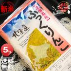 米 5kg お米 ふっくりんこ 北海道産 白米 令和5年産 送料無料