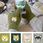 スマホ手袋 イヌ 犬雑貨・犬グッズ・柴犬・秋田犬・チワワ