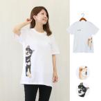 Tシャツ　Peek-a-boo　犬雑貨・犬グッズ・柴犬