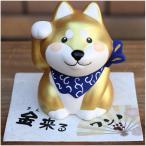 柴犬 金招き 柴犬/シバ 置物 オブジェ 犬雑貨 犬グッズ : 犬雑貨専門店