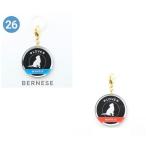  umbrella очарование one пятно la Barneys * mountain * собака собака смешанные товары * собака товары 