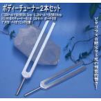 BIOSONICS 正規品  ボディーチューナー 完全５度 ２本セット 1個　送料無料　アメリカ　バイオソニックス　専用ポーチ付